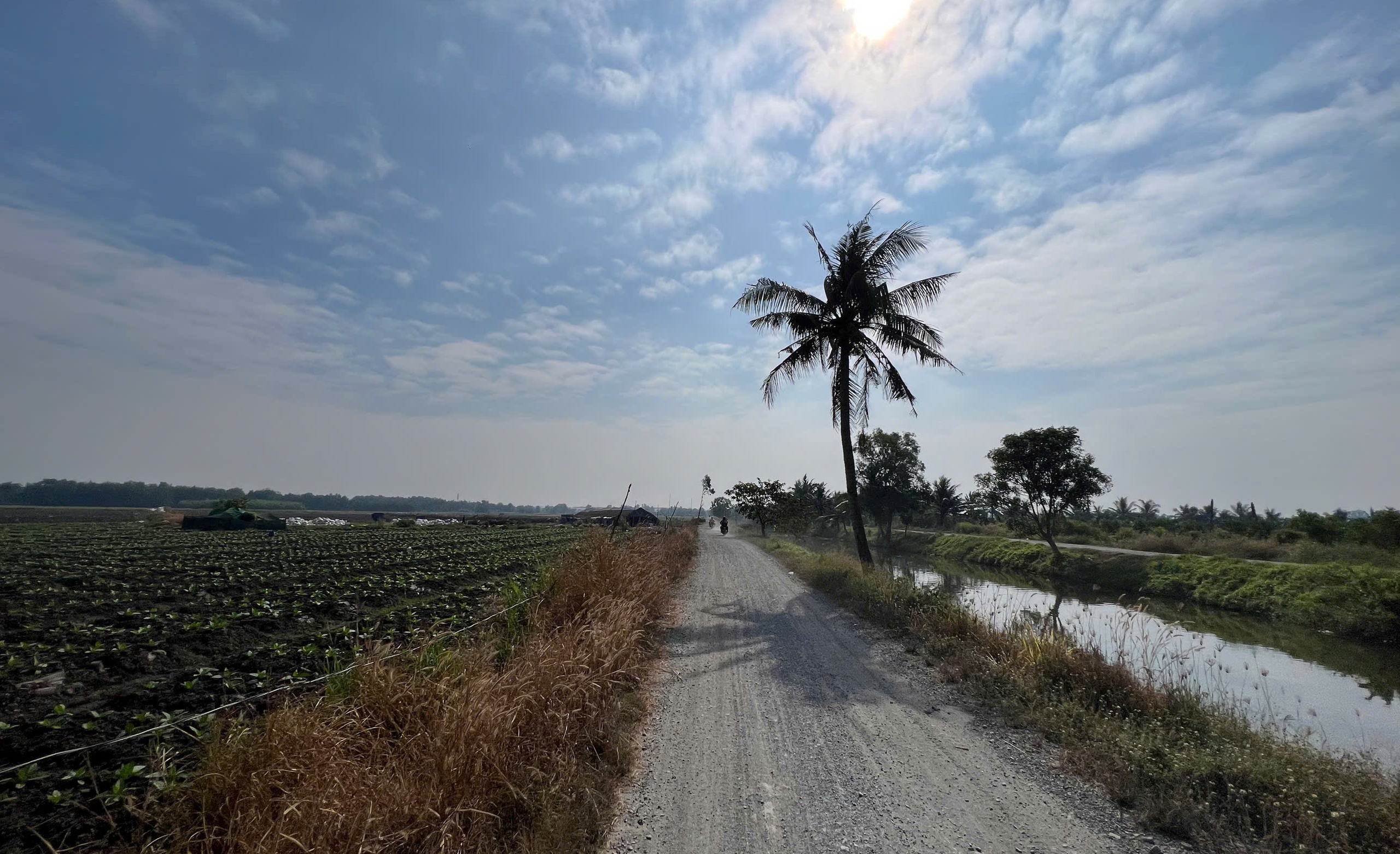 Giải Half-marathon 