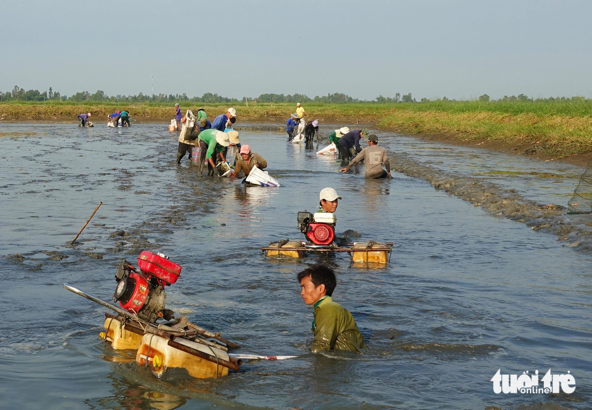 Dân nuôi tôm trên ruộng lúa Kiên Giang làm nhiều cách để phòng tránh xâm nhập mặn - Ảnh 3.