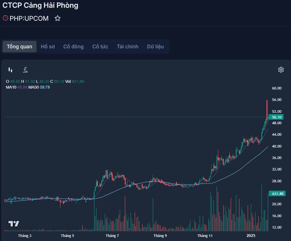 TOP 10 cổ phiếu “đỉnh nóc kịch trần” năm Giáp Thìn 2024- Ảnh 10.