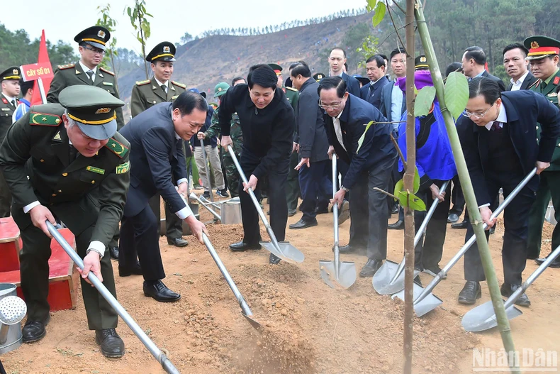 Chủ tịch nước Lương Cường phát động Tết trồng cây "Đời đời nhớ ơn Bác Hồ" Xuân Ất Tỵ năm 2025 ảnh 3