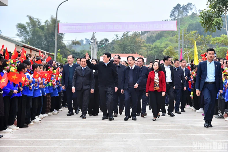 Chủ tịch nước Lương Cường phát động Tết trồng cây "Đời đời nhớ ơn Bác Hồ" Xuân Ất Tỵ năm 2025 ảnh 4