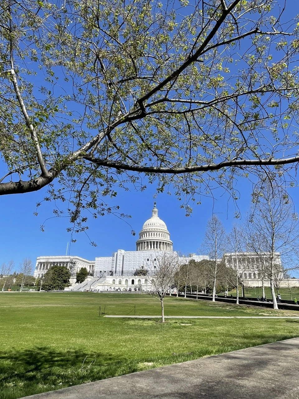 Điện Capitol hay Tòa nhà Quốc hội Hoa Kỳ. Tuy không thể vào bên trong tòa nhà nhưng du khách có thể tham quan rất gần và có ảnh chụp tuyệt đẹp từ nhiều góc. Ảnh: VIỆT HƯNG