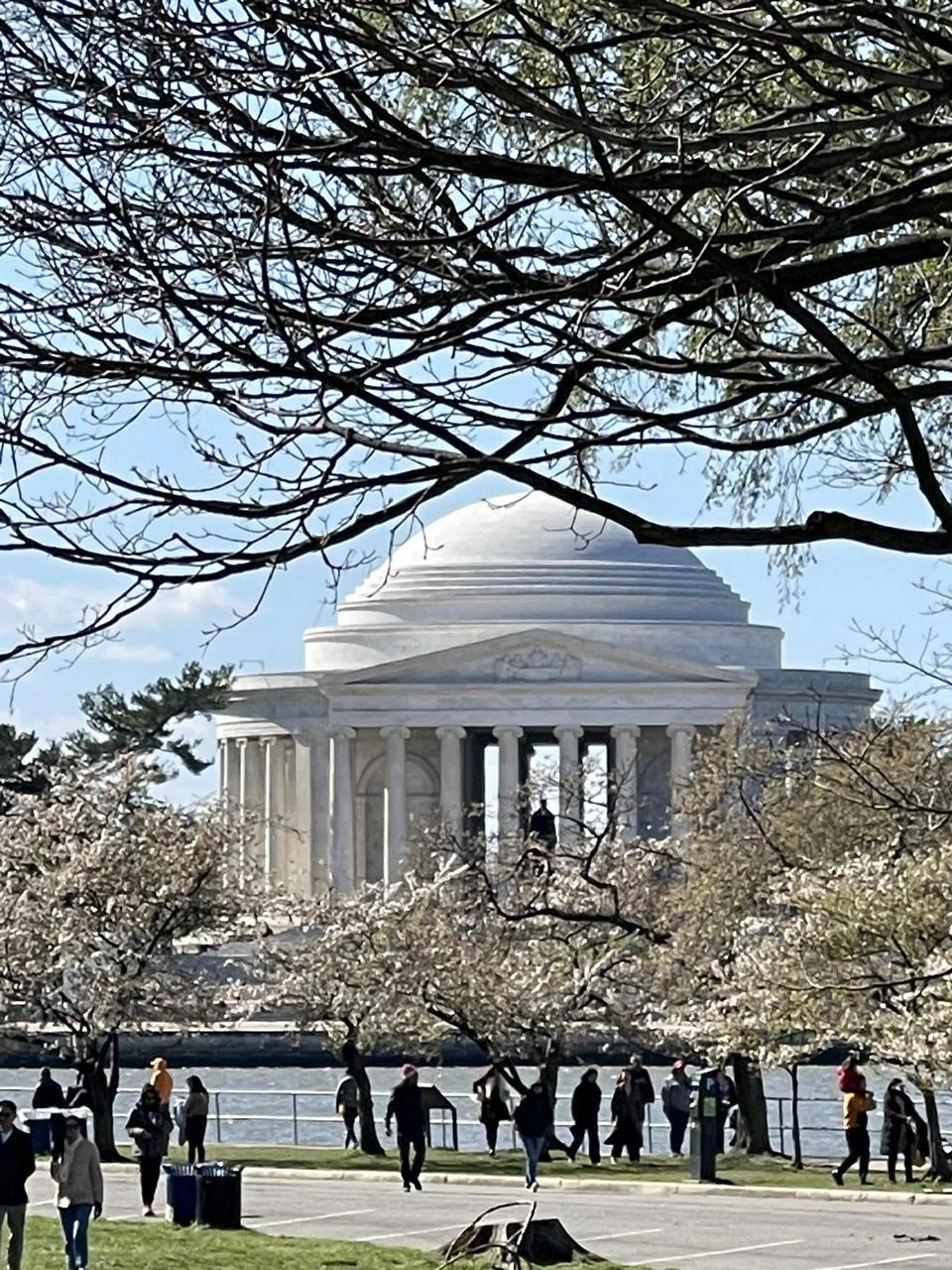 Đài tưởng niệm Tổng thống Jefferson nằm bên bờ hồ Tidal Basin, giữa rừng hoa anh đào. Ảnh: VIỆT HƯNG