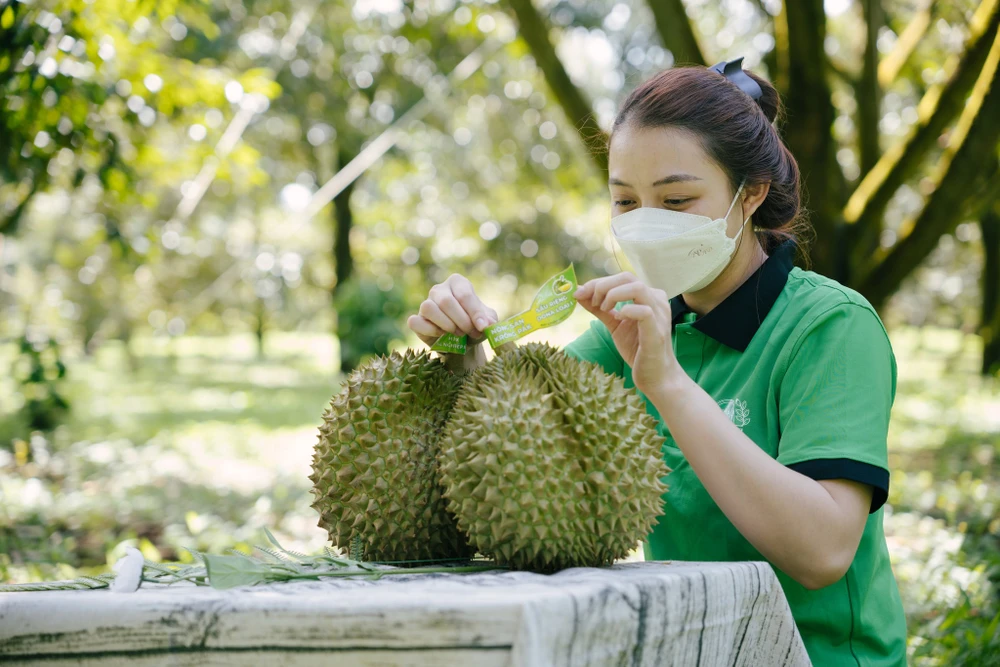 xuất khẩu sầu riêng