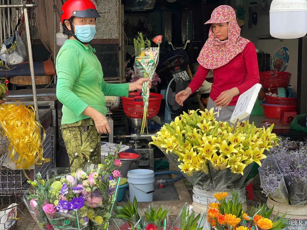 Hoa đồng tiền