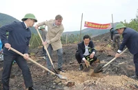 Các đại biểu tham gia trồng cây "Đời đời nhớ ơn Bác Hồ" ở xã phong Dụ, huyện Tiên Yên.