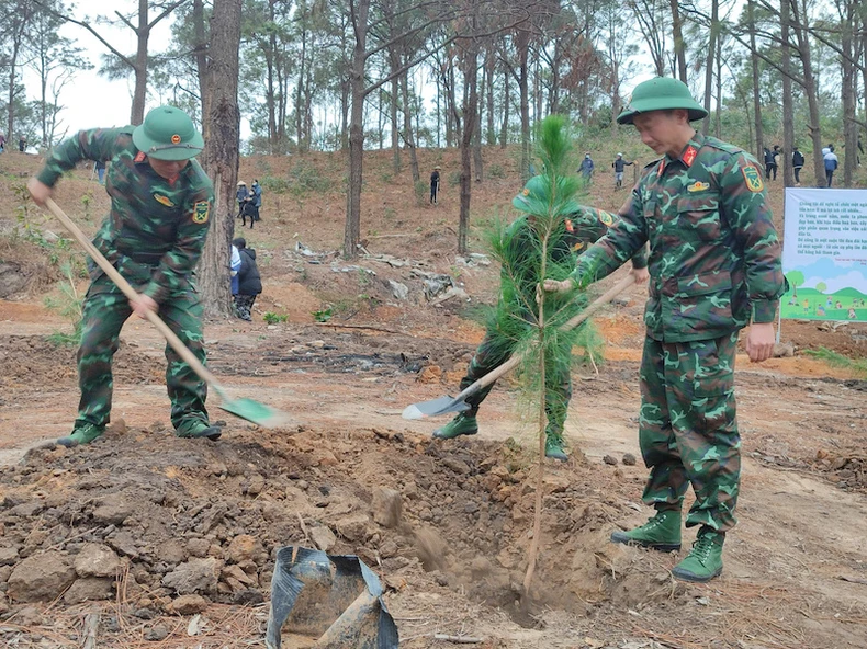 Phó Thủ tướng Trần Hồng Hà trồng cây đầu Xuân tại Quảng Ninh ảnh 4