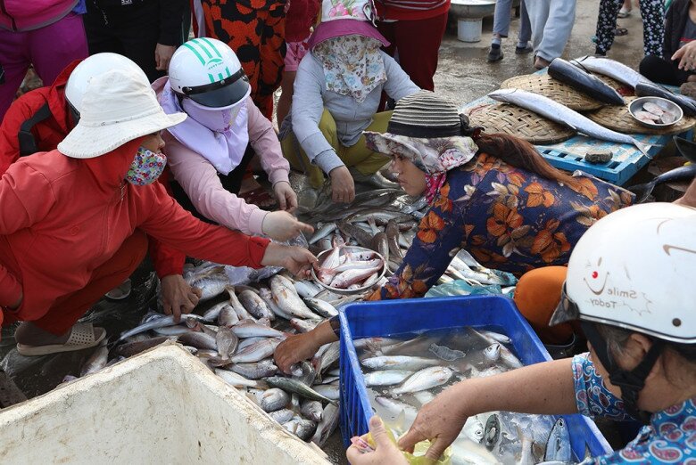 Về Ninh Thuận có khu chợ truyền thống đặc biệt, mua hải sản vừa rẻ vừa ngon mà không phải ai cũng biết - 3