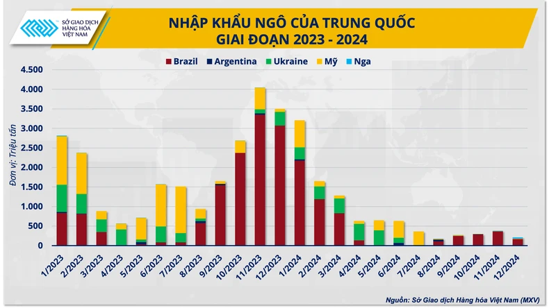 Thị trường ngô thế giới năm 2025: Thách thức đi cùng cơ hội ảnh 2