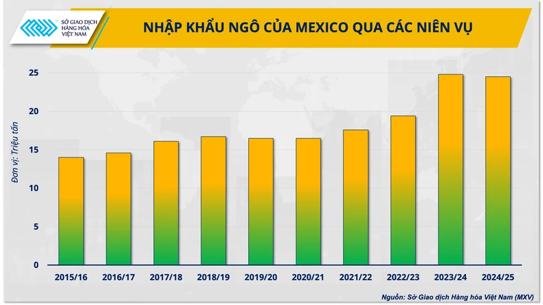 Thị trường ngô thế giới năm 2025: Thách thức đi cùng cơ hội ảnh 4