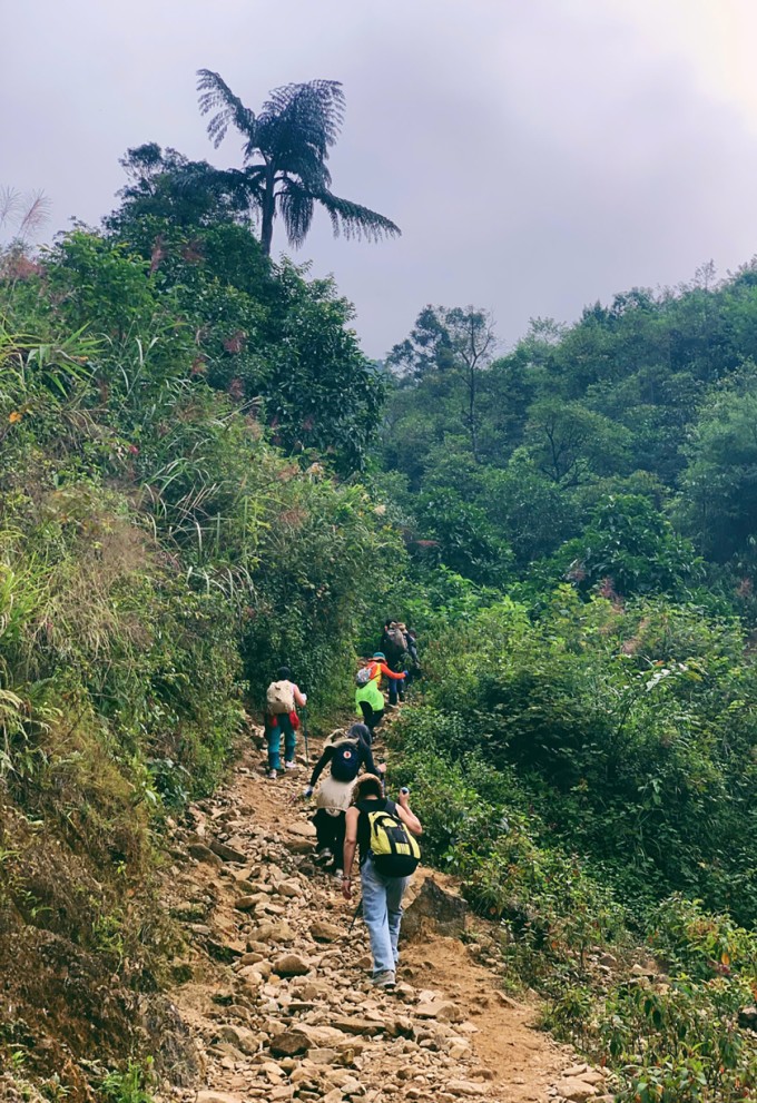 Một đoạn trekking ở Tà Chì Nhù. Ảnh: Thảo Nhi