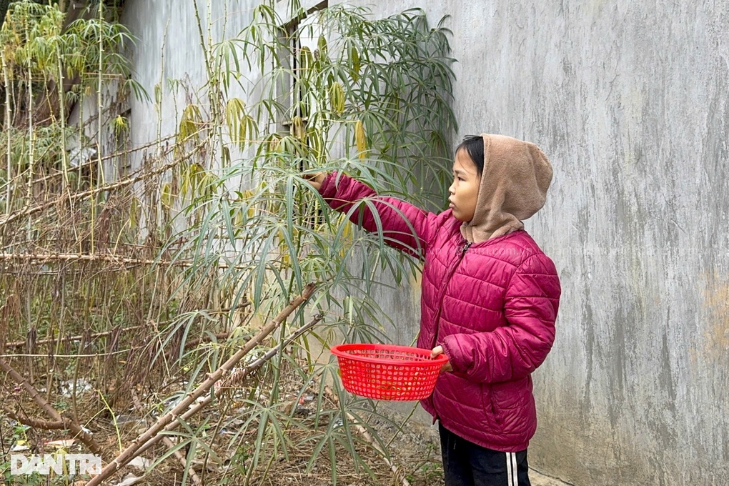 Con ước không phải ăn cơm với lá sắn nữa, 2 bố con được đến bệnh viện - 4