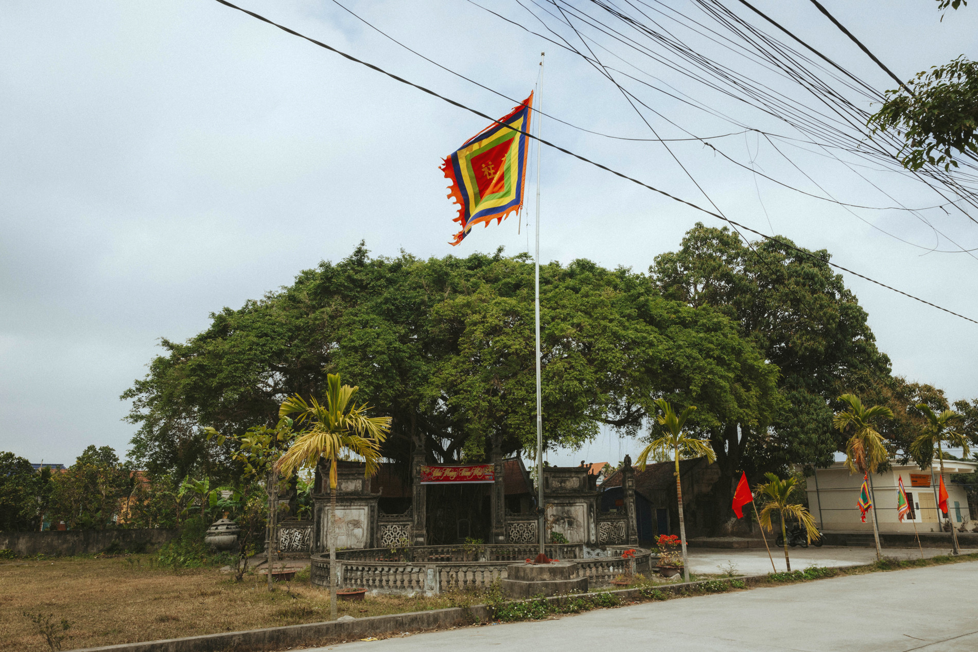 Ngôi đền cổ cách Hà Nội 70km, có amp;#39;báu vật xanhamp;#39; trăm tuổi thu hút du khách - 4