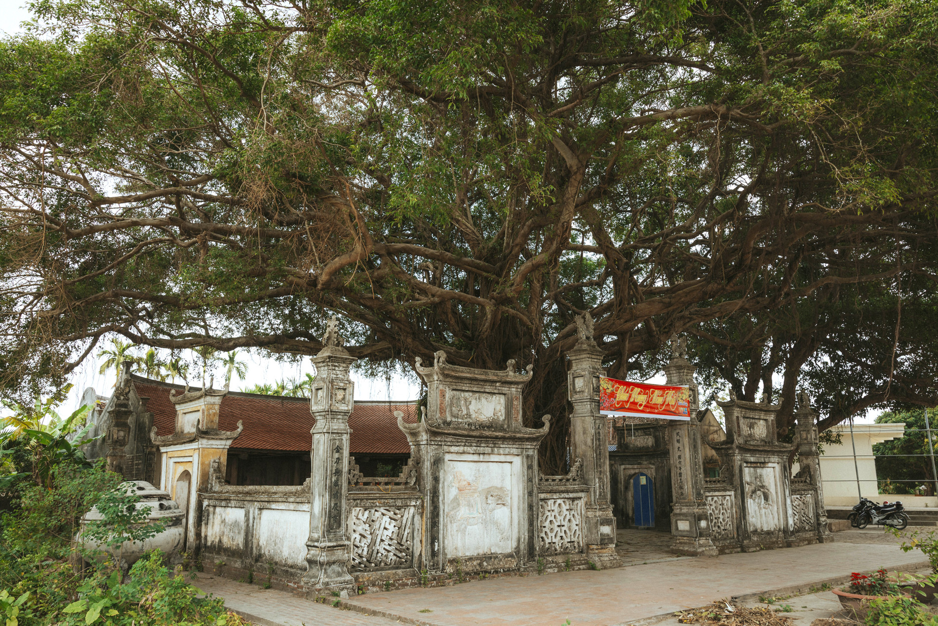 Ngôi đền cổ cách Hà Nội 70km, có amp;#39;báu vật xanhamp;#39; trăm tuổi thu hút du khách - 8