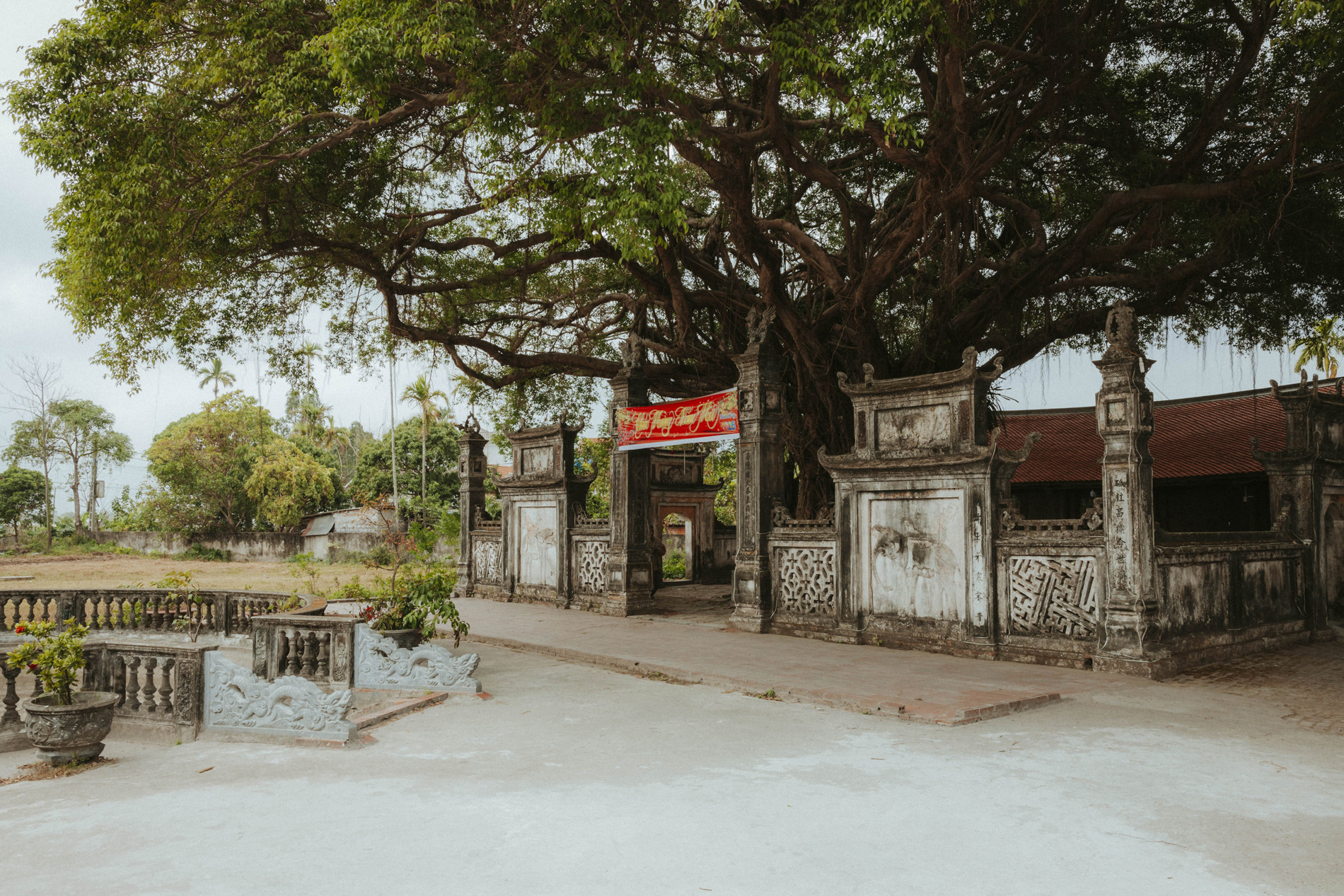 Ngôi đền cổ cách Hà Nội 70km, có amp;#39;báu vật xanhamp;#39; trăm tuổi thu hút du khách - 9