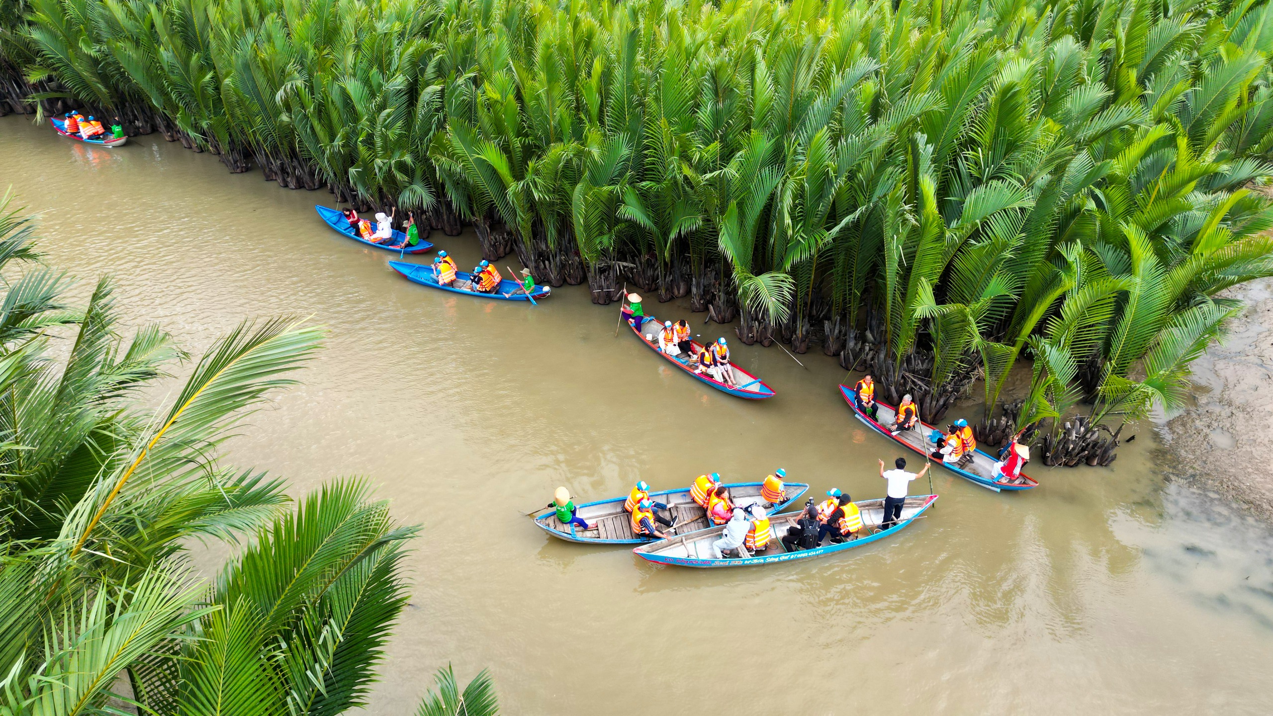 Rừng dừa Kinh Giang- Ảnh 4.