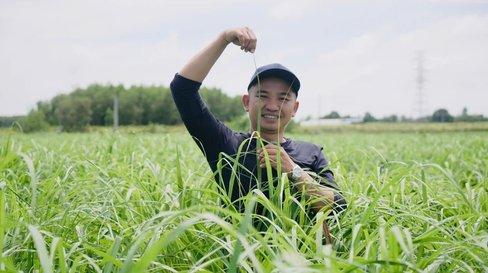 thương mại điện tử