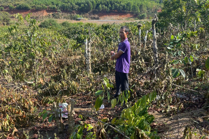 Công an huyện Mang Yang đưa Đặng Văn Thêm ra vườn cây, thực nghiệm hiện trường. Ảnh: Công an Mang Yang