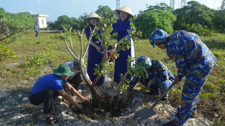 Hải quân Việt Nam: Quyết tâm xanh hóa Trường Sa ảnh 6