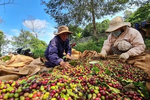 Thực phẩm xuất khẩu của Việt Nam bị EU cảnh báo