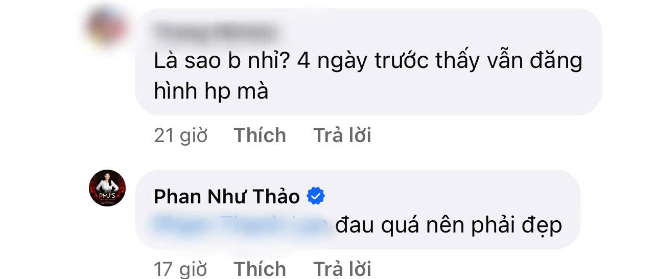 Phản ứng lạ của Phan Như Thảo giữa nghi vấn trục trặc với chồng đại gia hơn 26 tuổi- Ảnh 3.