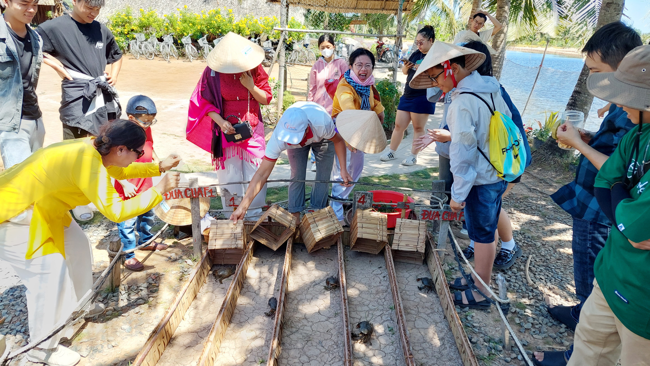 Cồn Chim đi thương, về nhớ- Ảnh 3.