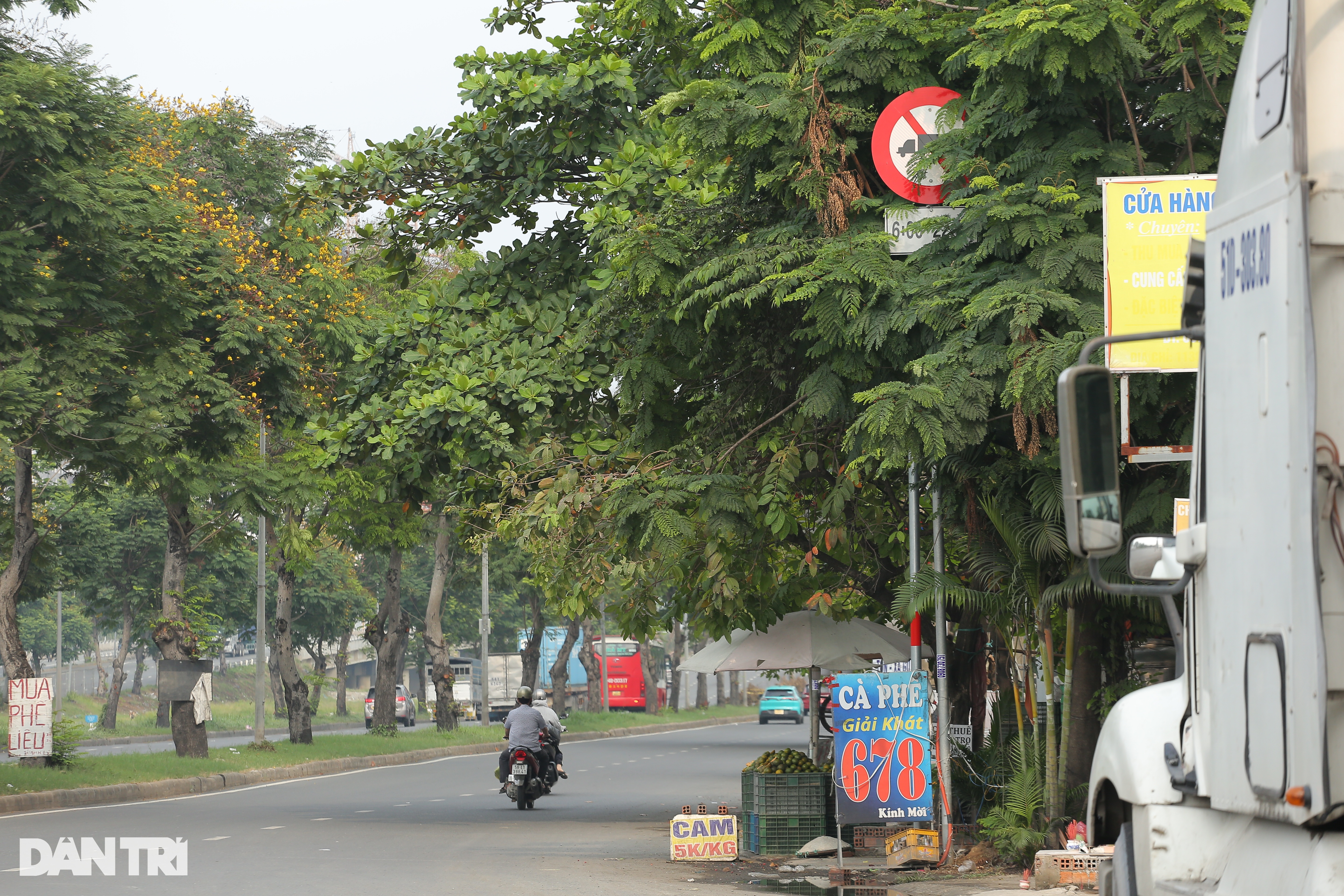 Nhan nhản biển báo núp lùm ở TPHCM gây khó cho tài xế - 4