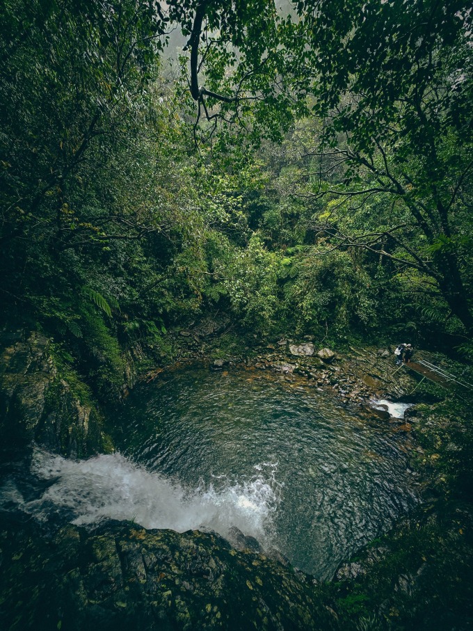 Trần Đặng Đăng Khoa hiking xuyên rừng Bạch Mã sương mù - 4