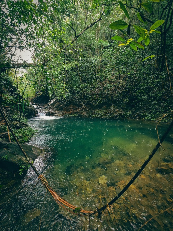 Trần Đặng Đăng Khoa hiking xuyên rừng Bạch Mã sương mù - 8