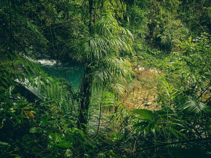 Trần Đặng Đăng Khoa hiking xuyên rừng Bạch Mã sương mù - 9