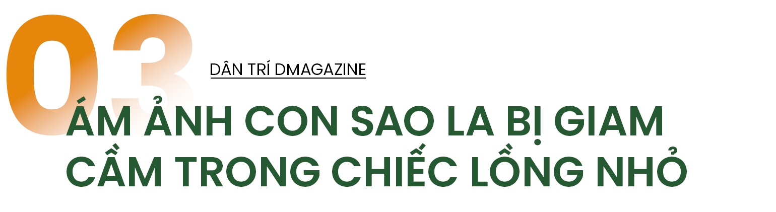 Chuyên gia quốc tế nói về khả năng sao la tuyệt chủng và điều ám ảnh - 13