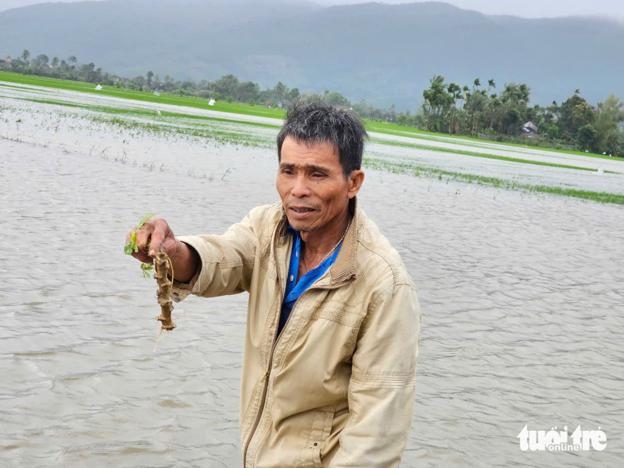 Lụt giữa mùa xuân: Nông dân khóc ròng, phụ huynh lái máy cày đến trường đón con - Ảnh 5.