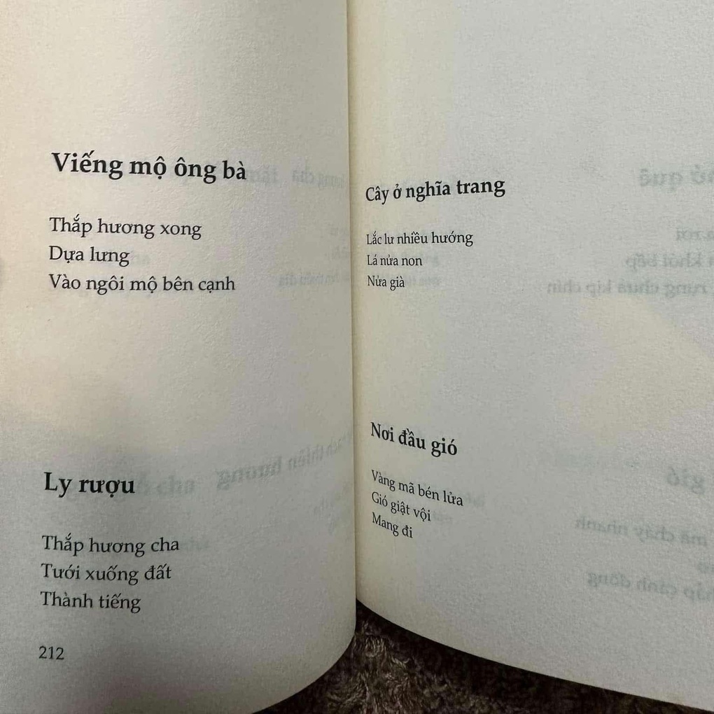 Thơ ba câu của Mai Văn Phấn bùng nổ tranh cãi, tác giả nói gì? - 2