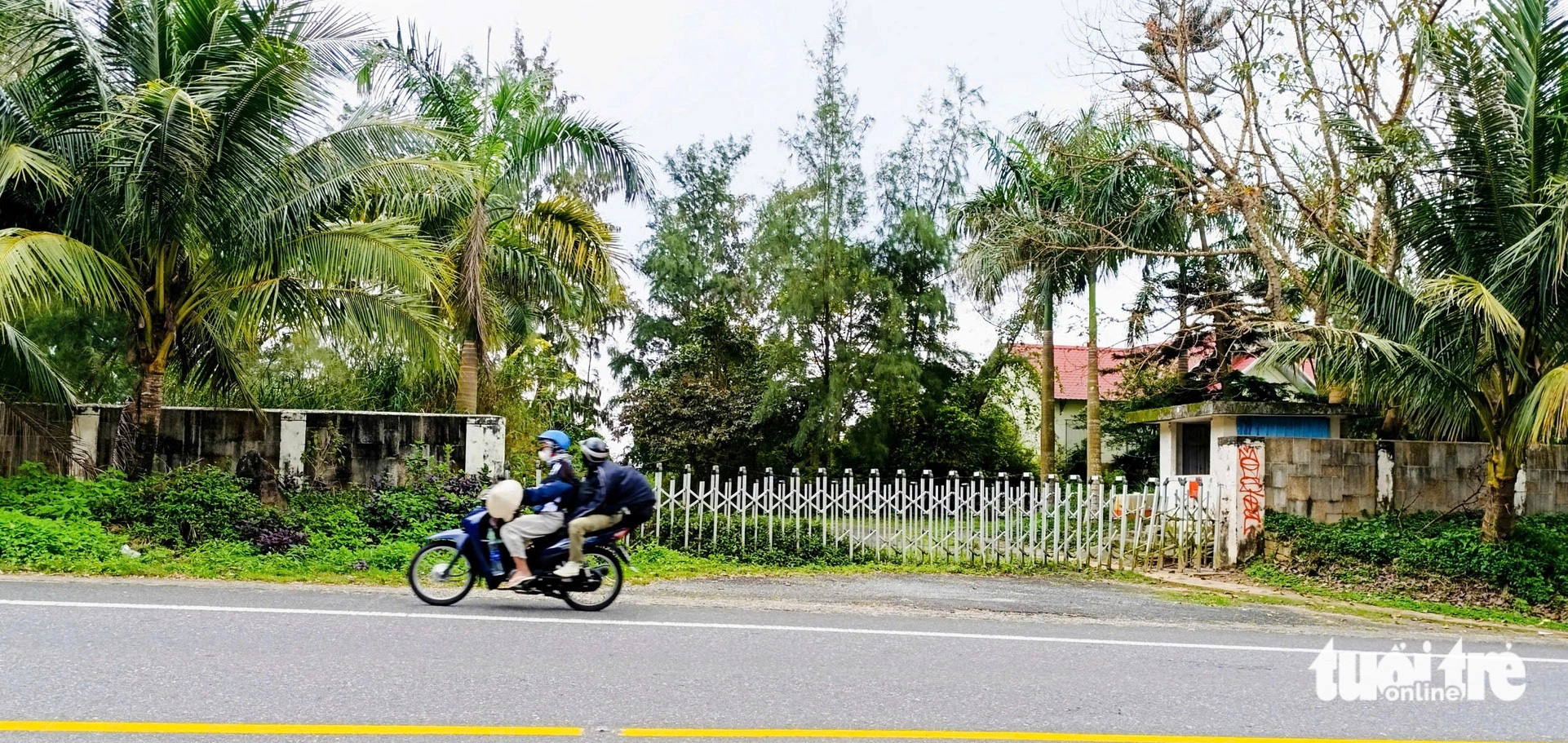 Loạt 13 dự án trên bán đảo Sơn Trà trong diện chính sách đặc thù - Ảnh 2.