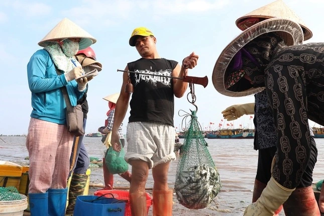 Khu chợ hải sản sầm uất nhất Nam Định, hàng tấn cá tôm bán hết veo chỉ trong 2 tiếng - 3