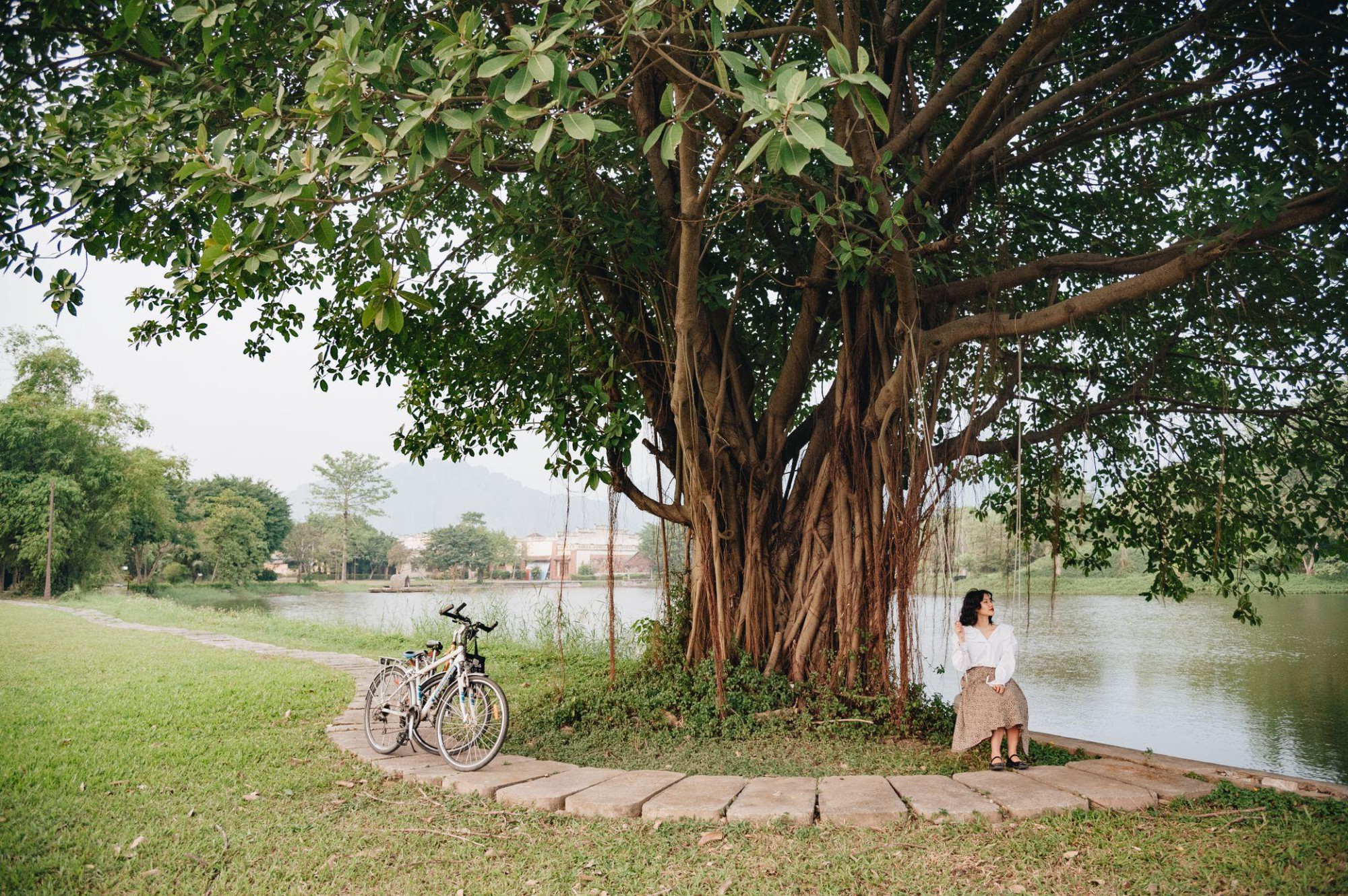 Du xuân khác biệt với triển lãm lồng đèn “Cá Chép Hóa Rồng” tại Emeralda Resort Ninh Bình- Ảnh 2.