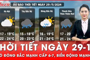 Dự báo thời tiết ngày 29-11: Bắc Bộ rét đậm, rét hại; gió đông bắc mạnh cấp 6-7 khiến biển động mạnh