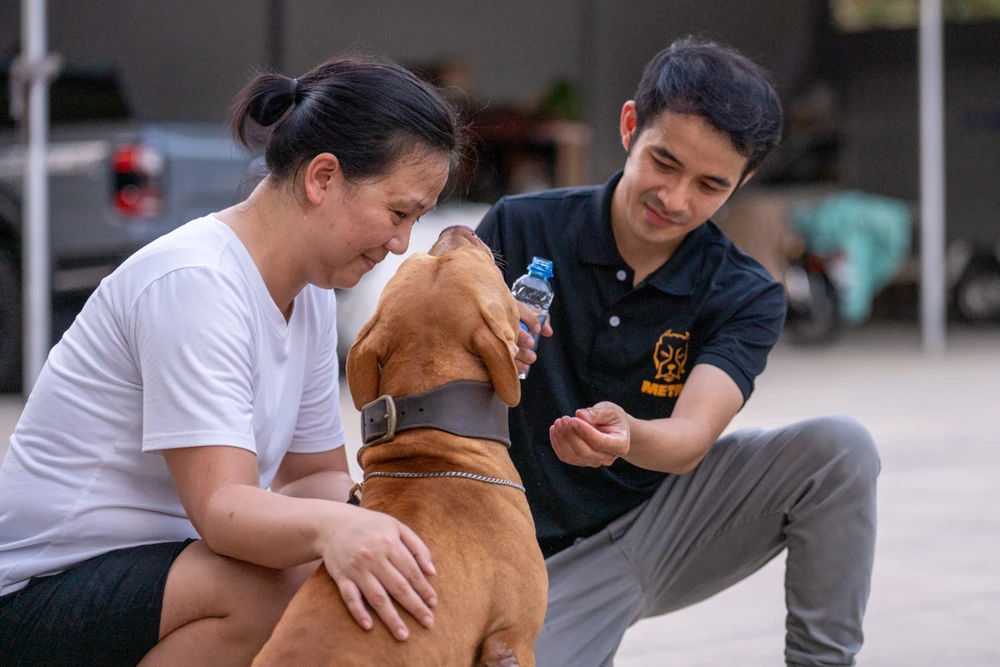 Dù hiện tại bé chó đã trở nên ngoan ngoãn và không còn tấn công những con chó khác nhưng không vì thế mà chị Thư chủ quan. Chị vẫn duy trì luyện tập để hành động lặp đi lặp lại như một thói quen giúp bé chó ghi nhớ và nghe lời mình.