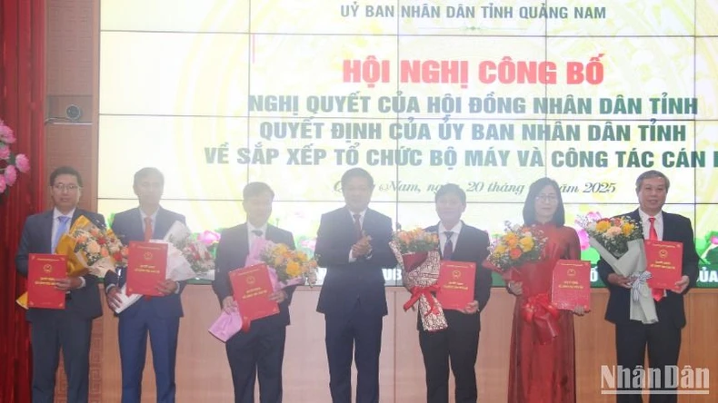 Quảng Nam: 6 giám đốc sở nghỉ hưu trước tuổi ảnh 1