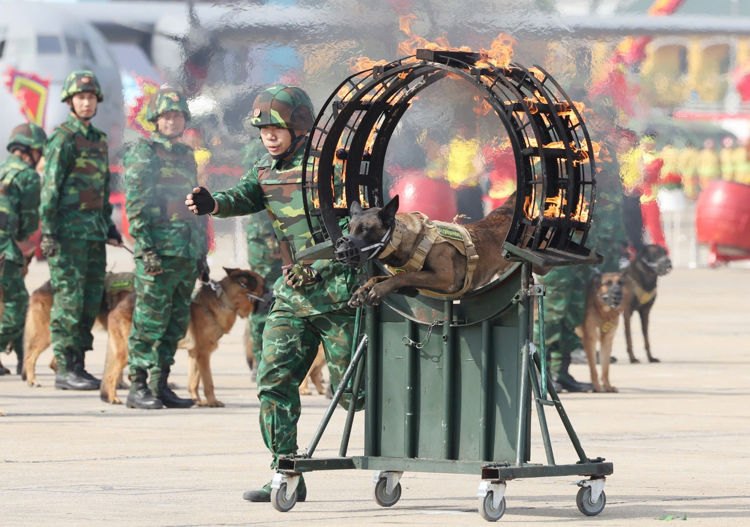 Chien binh tham lang va dac biet cua Quan doi