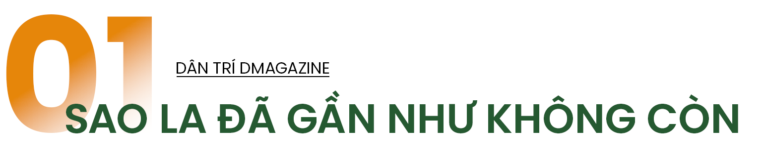 Chuyên gia quốc tế nói về khả năng sao la tuyệt chủng và điều ám ảnh - 1