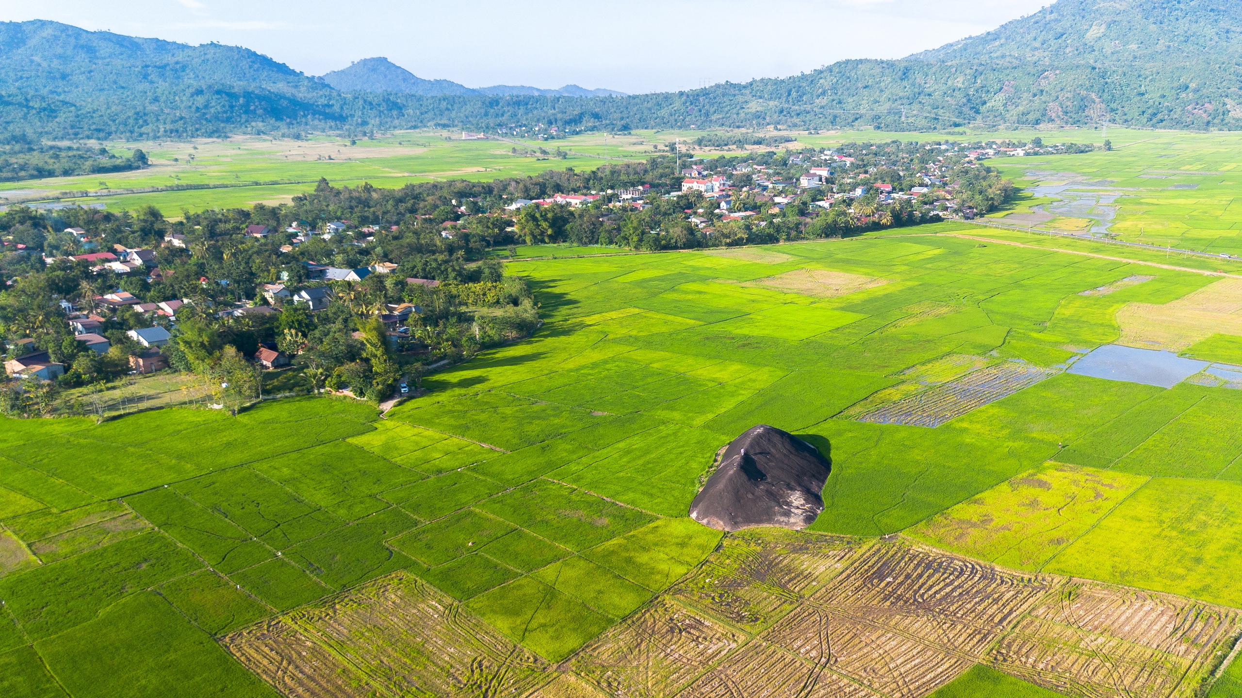 Hồi sinh gốm cổ Yang Tao- Ảnh 1.