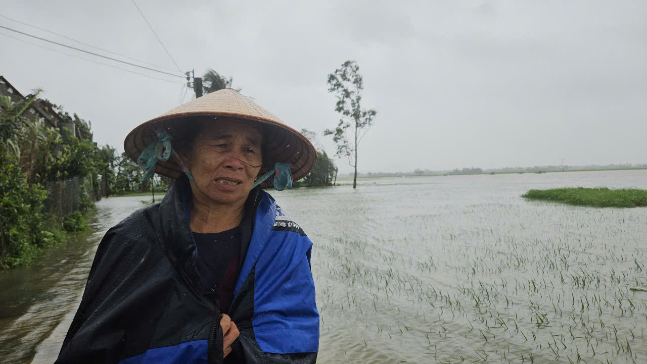 Hơn 1.500 ha lúa, hoa màu ở Phú Yên bị hư hại do mưa lũ bất thường - Ảnh 1.