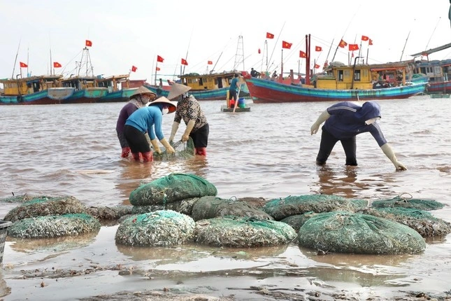 Khu chợ hải sản sầm uất nhất Nam Định, hàng tấn cá tôm bán hết veo chỉ trong 2 tiếng - 1