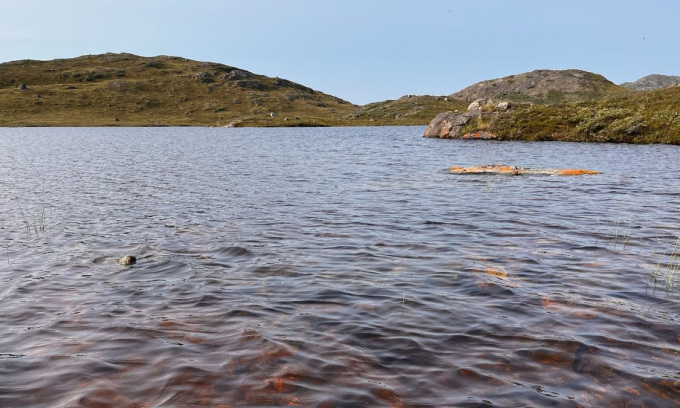 Một hồ nước gần Kangerlussuaq, Greenland, chuyển sang màu nâu sau đợt nóng và mưa khác thường năm 2022. Ảnh: Vaclava Hazukova