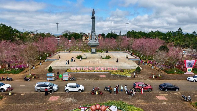 Măng Đen sẽ trở thành thị trấn mai anh đào- Ảnh 1.