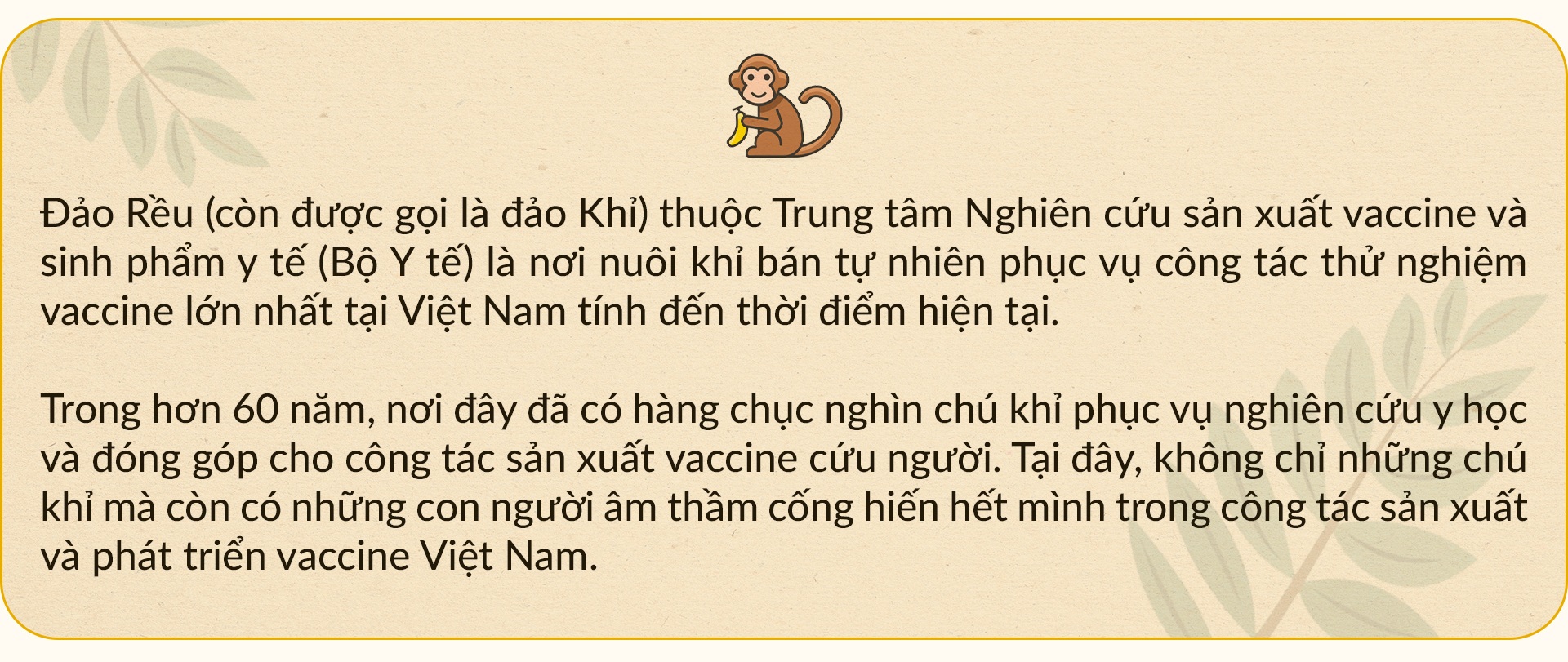 Những gia đình 3 thế hệ bám đảo nuôi đàn khỉ hiến thân cho y học - 1