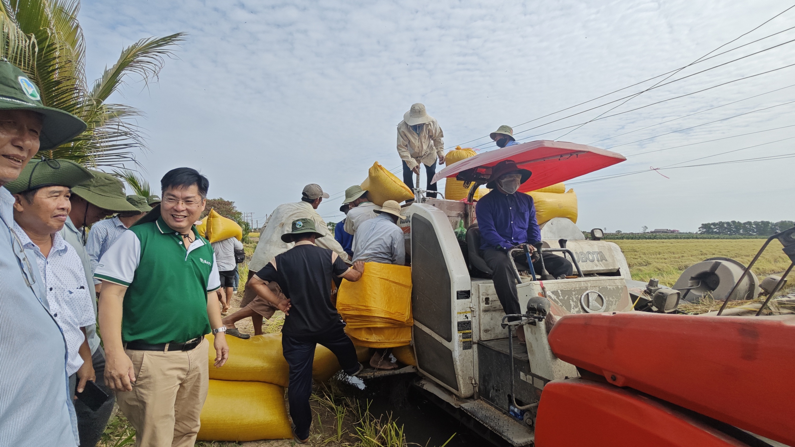 Nông dân trồng lúa tím vỡ òa niềm vui khi lãi chưa từng có- Ảnh 1.