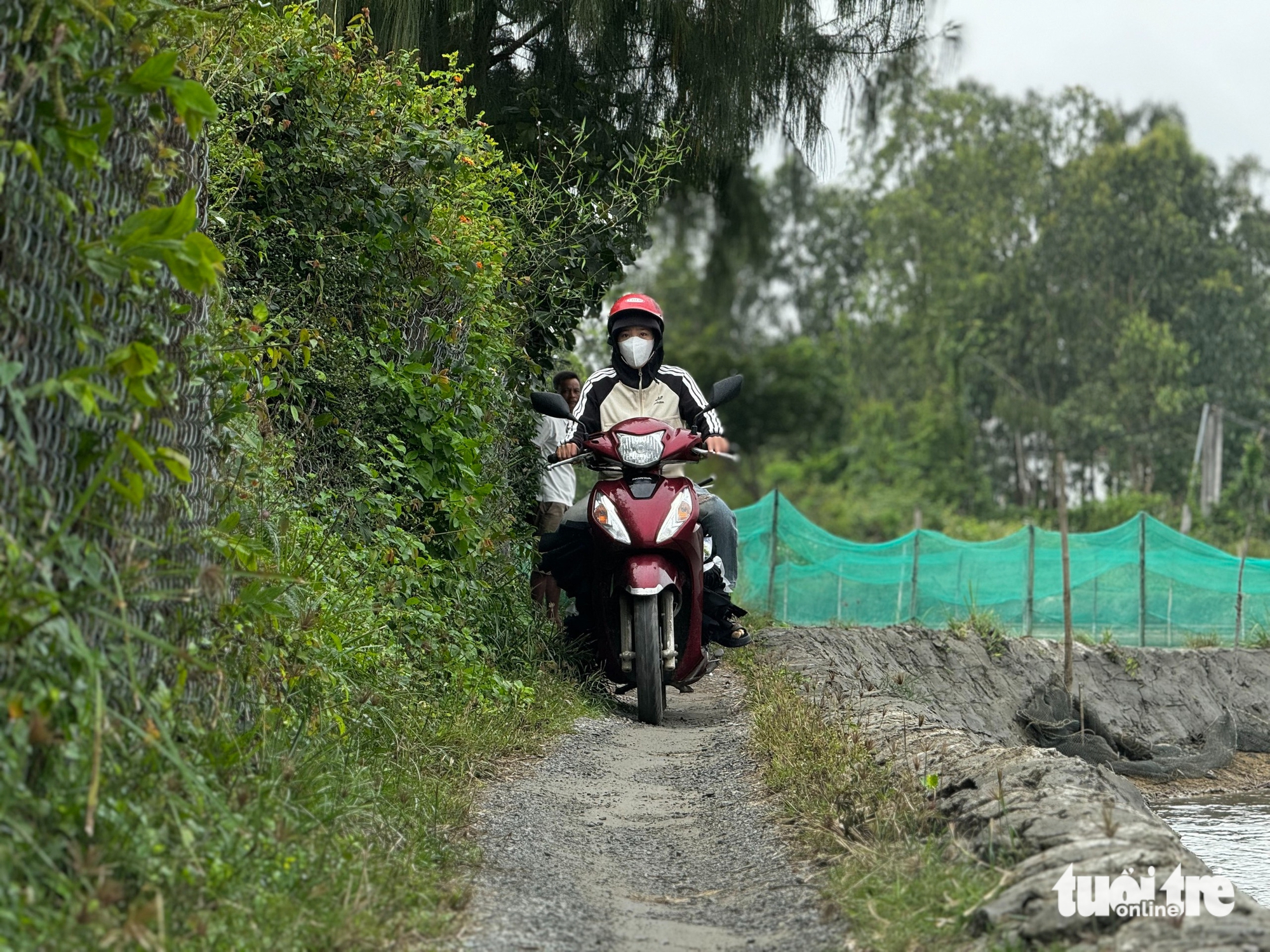 Sống ở TP Quảng Ngãi mà gần nửa thế kỷ trăm người phải đi lại trên bờ hồ - Ảnh 1.