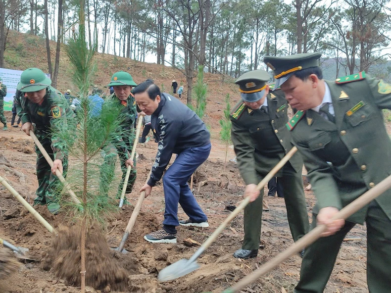 Phó Thủ tướng Trần Hồng Hà trồng cây đầu Xuân tại Quảng Ninh ảnh 1